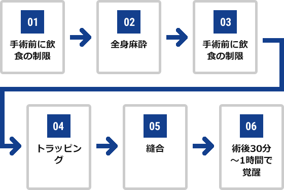 01.手術前に飲食の制限 02.全身麻酔 03.頭部切開 04.トラッピング 05.縫合 06.術後30分～1時間で覚醒